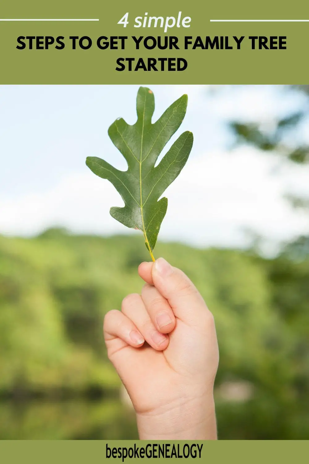 4 Simple steps to get your family tree started. Photo of a child's hand holding a leaf in a forest.