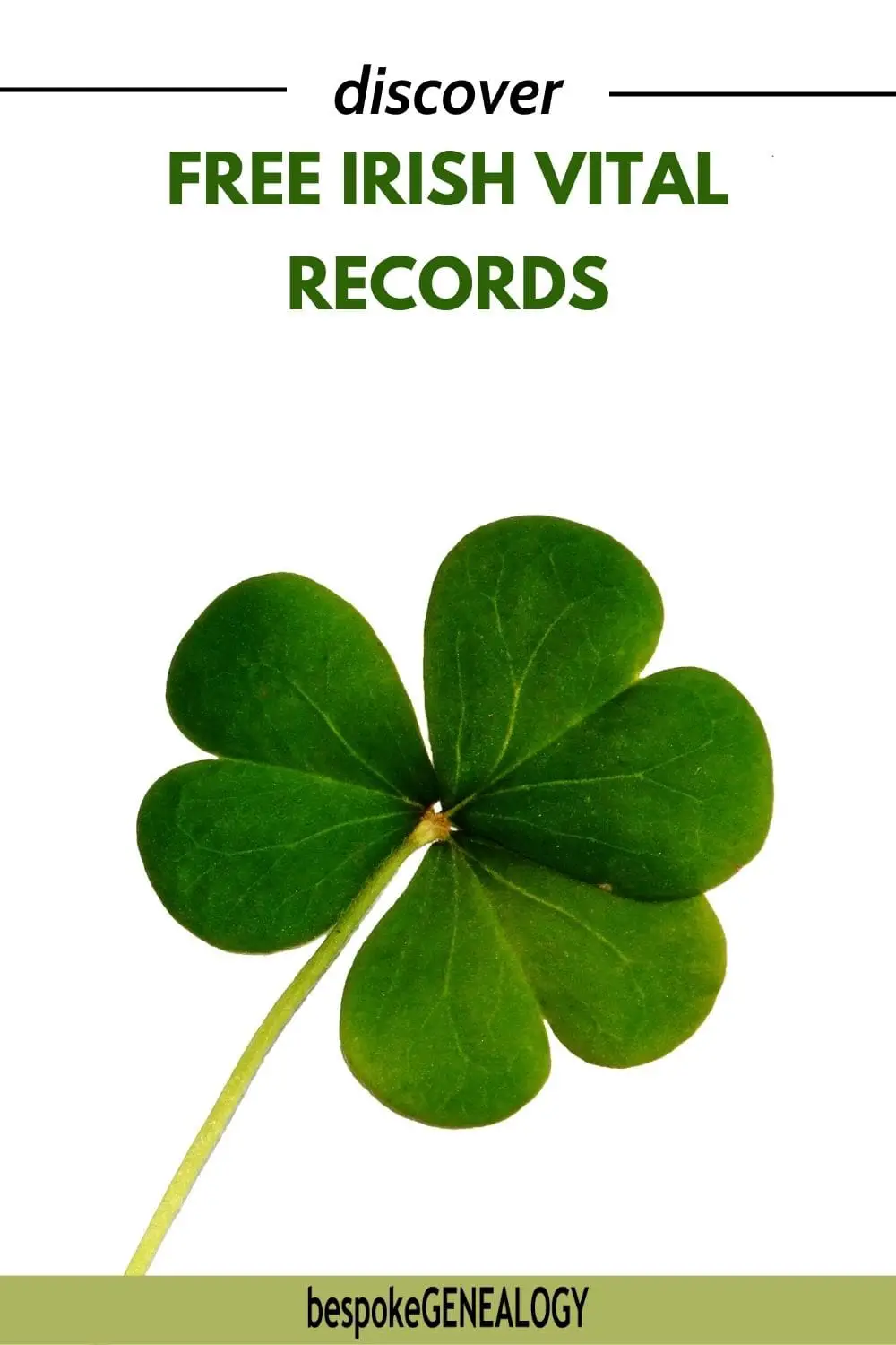 Discover free Irish vital records. Picture of a green three leaf clover.