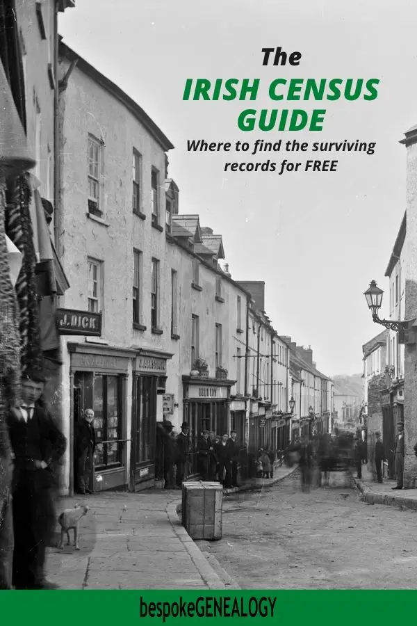 The Irish census guide. Bespoke Genealogy