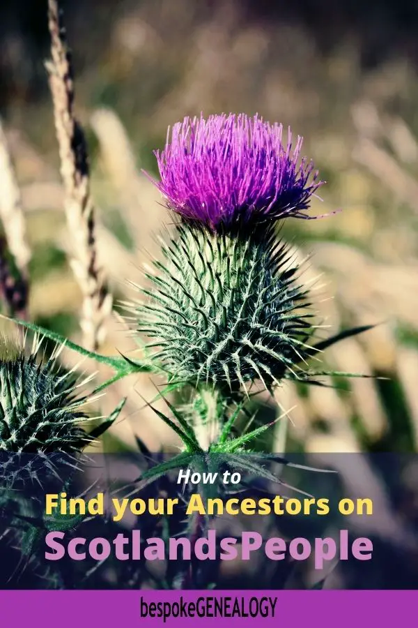 How to find your ancestors on ScotlandsPeople. Bespoke Genealogy