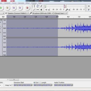 audacity_editing_bespoke_genealogy