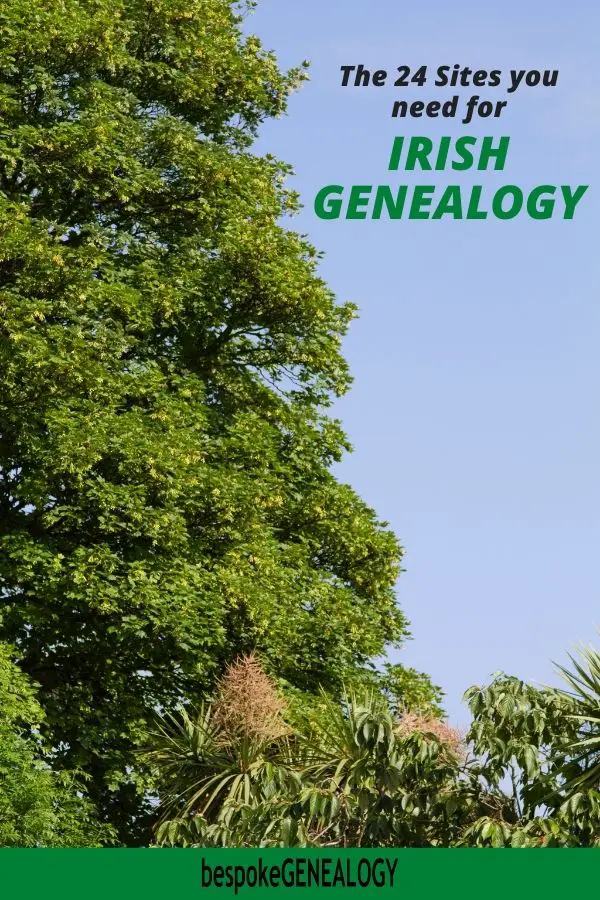 The 24 sites you need for Irish genealogy. Bespoke Genealogy