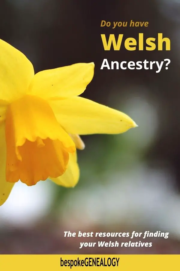 Do you have Welsh Ancestry. Bespoke Genealogy