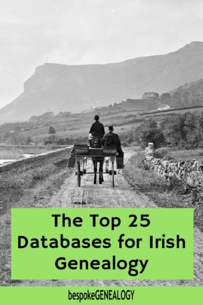 The Top 25 Irish Genealogy Online Record Collections - Bespoke Genealogy