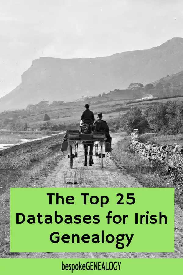 Top 25 Databases for Irish Genealogy. Bespoke Genealogy