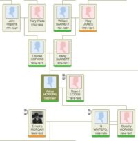 How to Improve your Genealogy Organization - Bespoke Genealogy