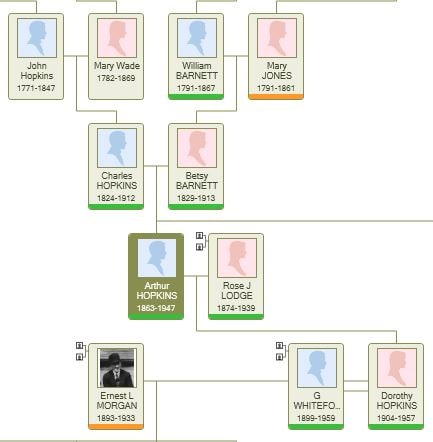 Family Tree Maker Colour Coding. Bespoke Genealogy