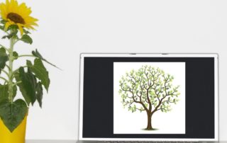 Download an online tree. Bespoke Genealogy