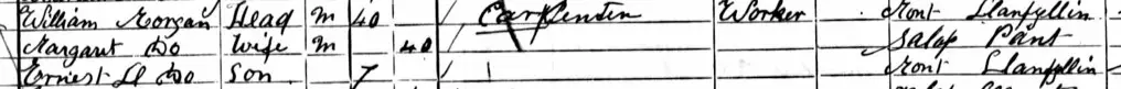 Extract from the 1901 Census showing Ernest L Morgan, age 7.