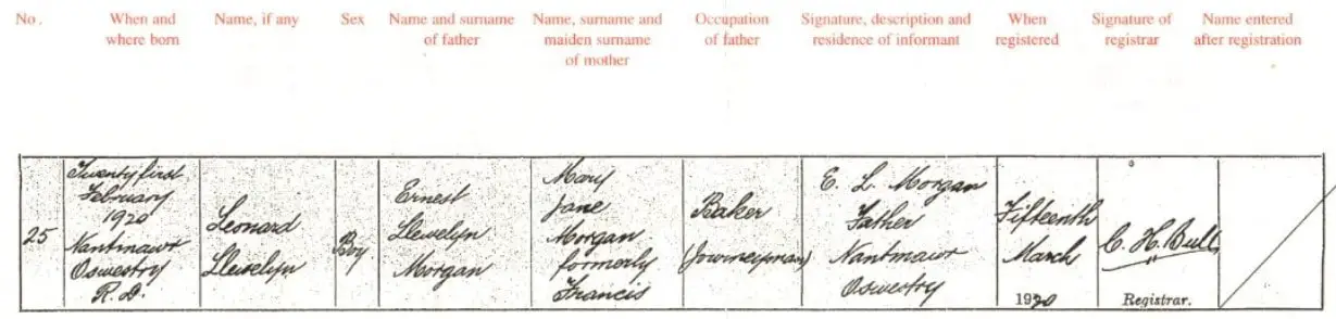 Civil birth record. Bespoke Genealogy