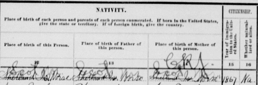 1910 US census extract. Bespoke Genealogy