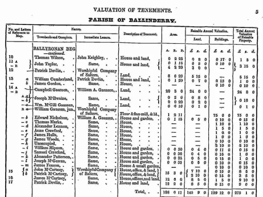 Griffith Valuation Sample Page. Bespoke Genealogy