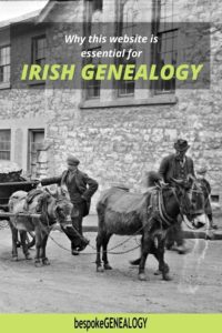 How To Use John Grenham’s Irish Ancestors Website - Bespoke Genealogy