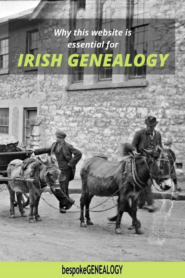 Why this website is essential for Irish Genealogy. Bespoke Genealogy
