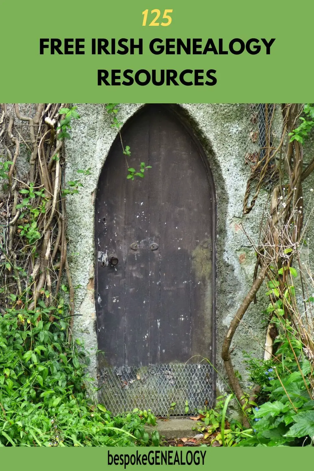 125 Free Irish Genealogy Resources. Photo of an old arched doorway in undergrowth.