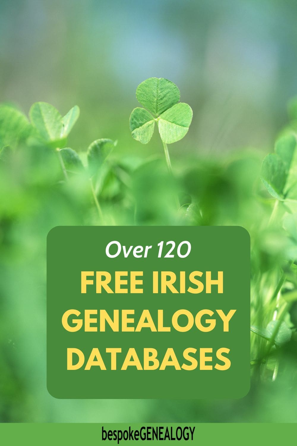 Over 120 free Irish genealogy databases. Close up photo of an Irish clover