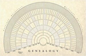 TreeSeek Genealogy Fan Wall Chart